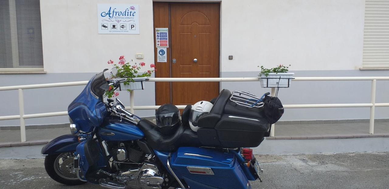 Afrodite Otel Scalea Dış mekan fotoğraf